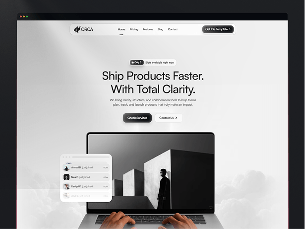 Orca template screenshot 1