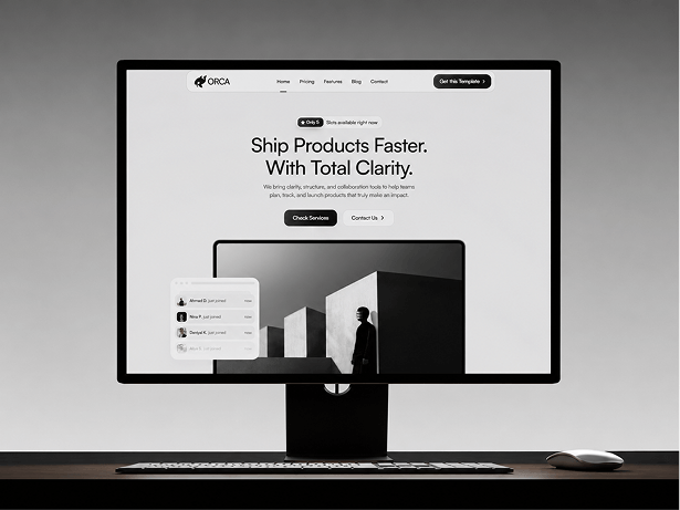 Orca template screenshot 4